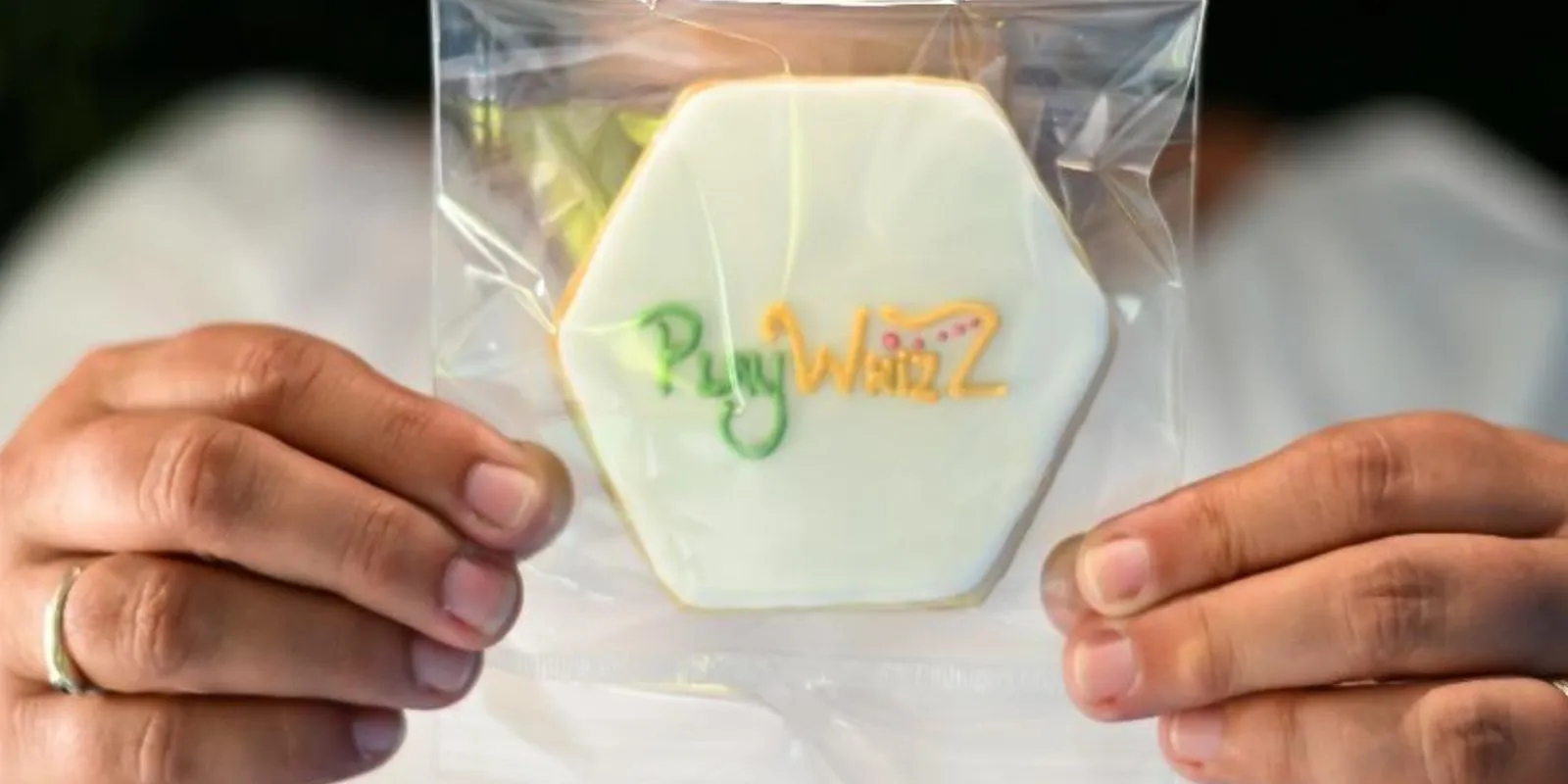 Playwhizz Logo Biscuit